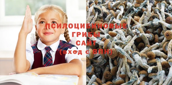 2c-b Аркадак