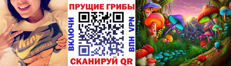 даркнет сайт Элиста Псилоцибиновые грибы мицелий